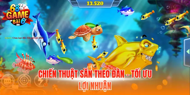 Chiến thuật săn theo đàn - Tối ưu lợi nhuận