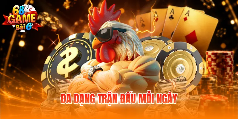Đa dạng trận đấu mỗi ngày