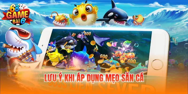 Lưu ý khi áp dụng mẹo săn cá