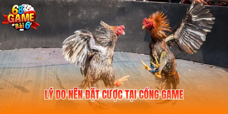Lý do nên đặt cược tại cổng game