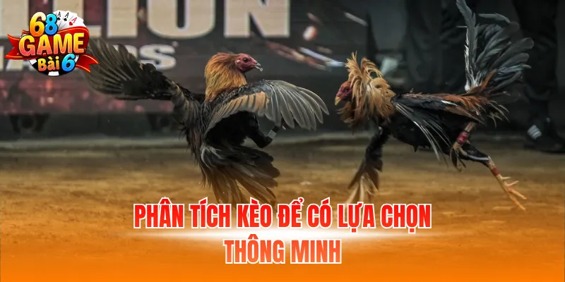 Phân tích kèo để có lựa chọn thông minh