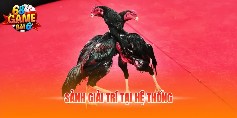 Sảnh giải trí tại hệ thống