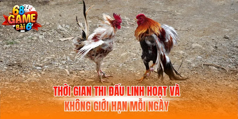 Thời gian thi đấu linh hoạt và không giới hạn mỗi ngày